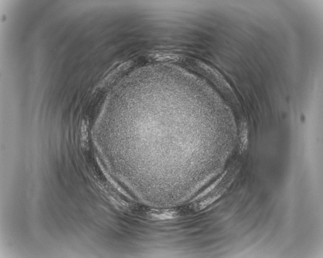 X0000087560667200705112149