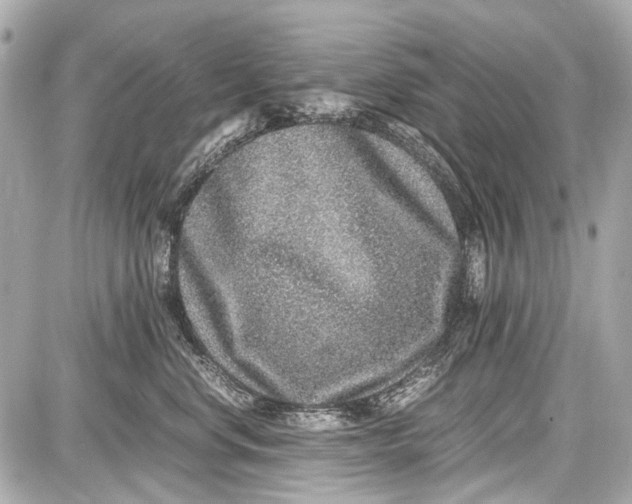X0000087560668200705112149