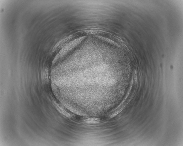 X0000087560670200705112149