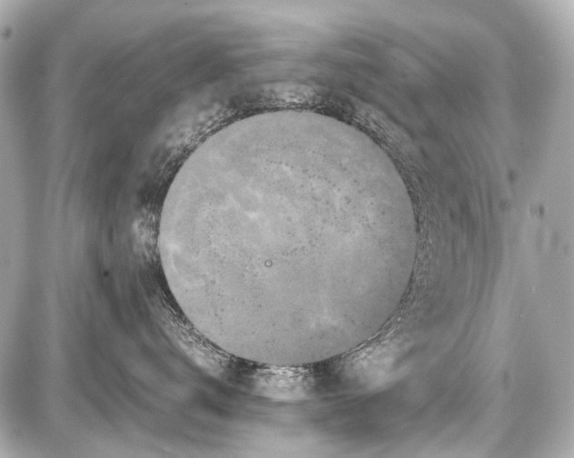 X0000087560672200705112149