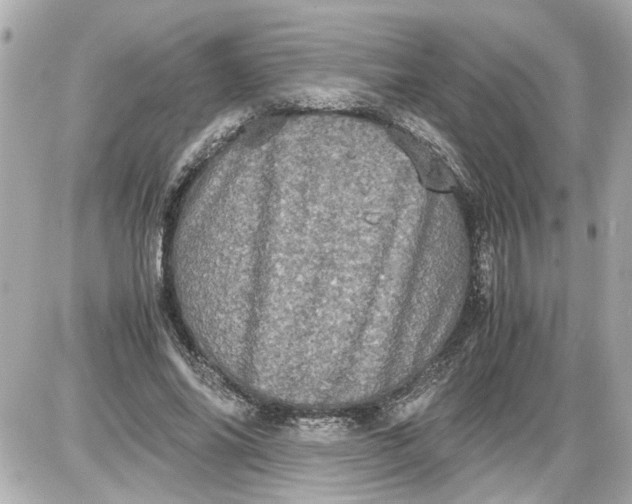 X0000087560686200705112148