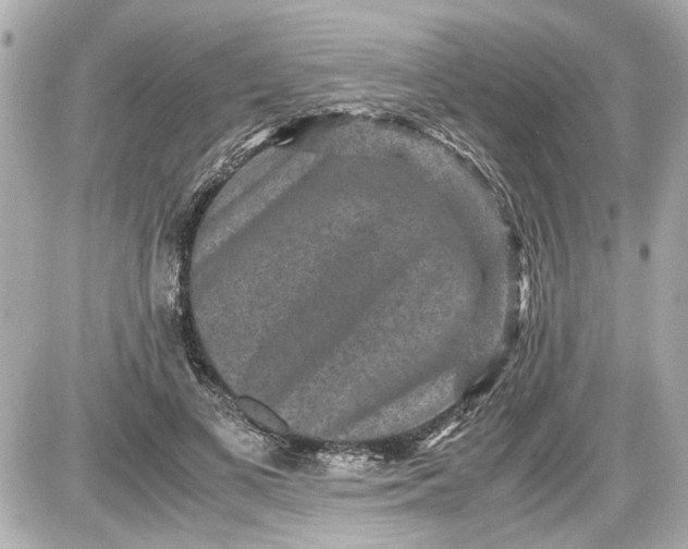 X0000087560693200705112148