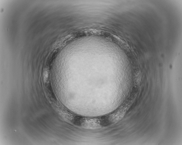 X0000087560709200705112147