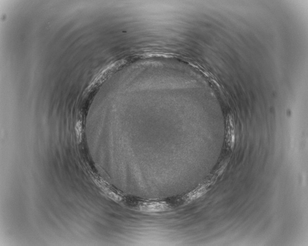 X0000087560716200705112147