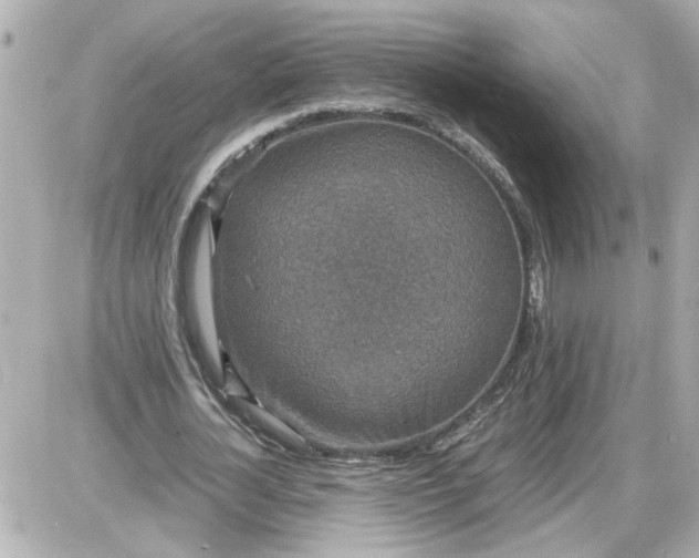 X0000087560724200705112146