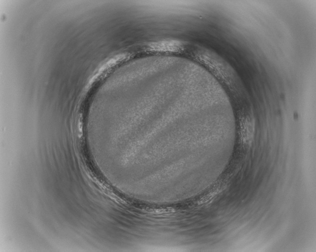 X0000087560731200705112146