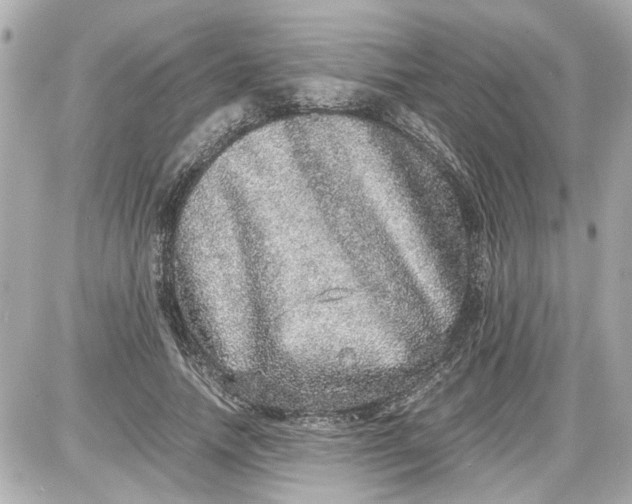 X0000087560738200705112147