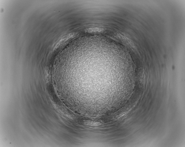 X0000087560743200705112147