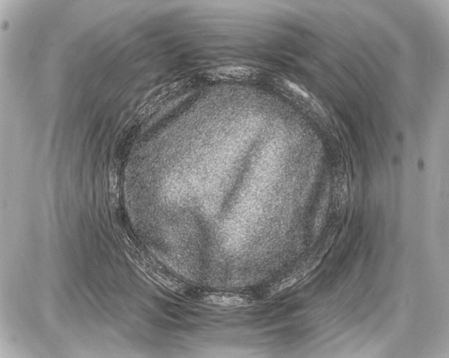 X0000087560749200705112147