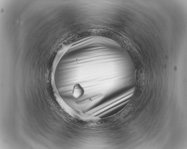 X0000087560750200705112147