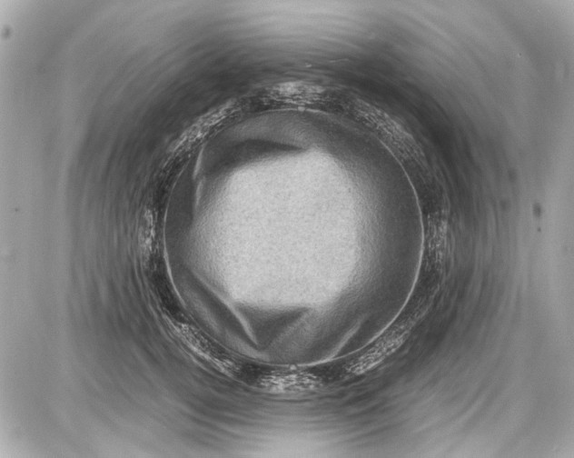 X0000087560752200705112147