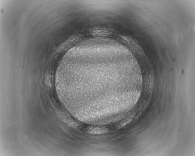 X0000087560755200705112147