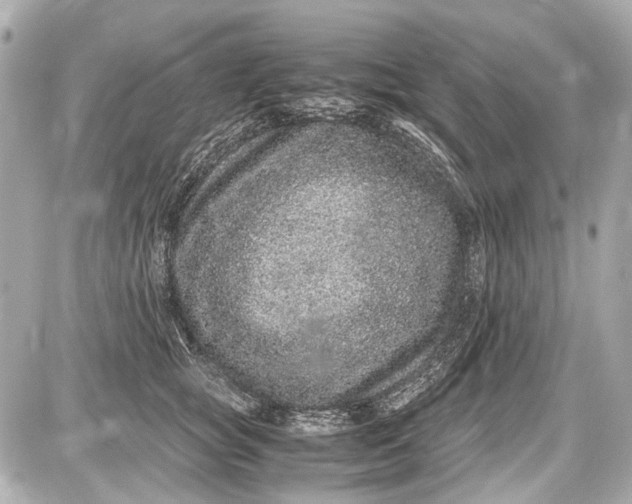 X0000087560757200705112147