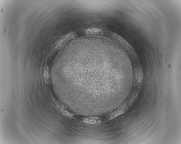 X0000087560761200705112147