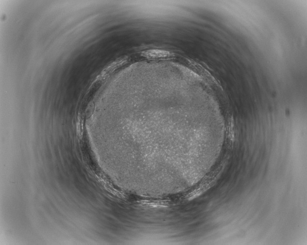 X0000087560763200705112147