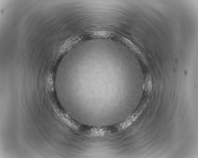 X0000087560764200705112147
