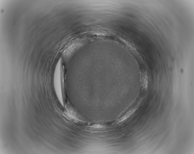 X0000087560766200705112147