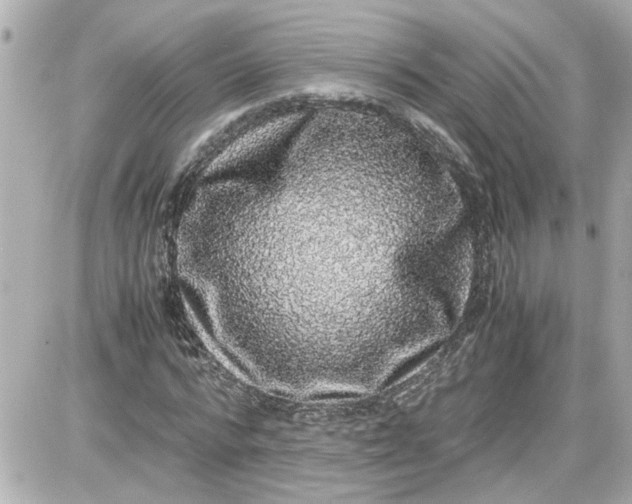 X0000087560776200705112146
