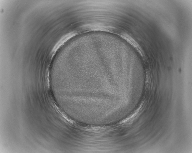 X0000087560782200705112146