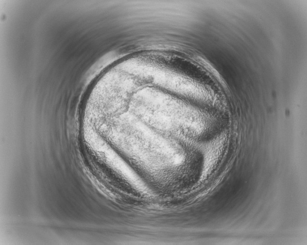 X0000087560787200705112146