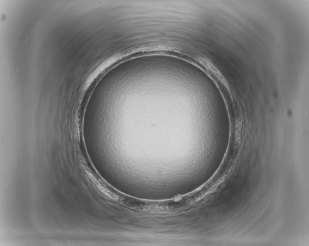X0000087560789200705112146