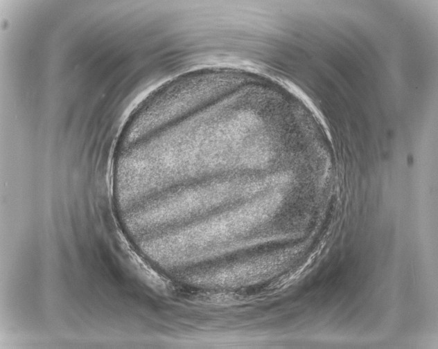 X0000087560791200705112146