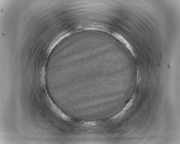 X0000087560798200705112146