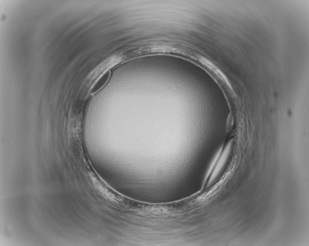 X0000087560801200705112146