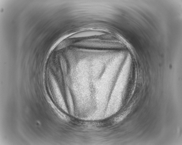 X0000087560803200705112146