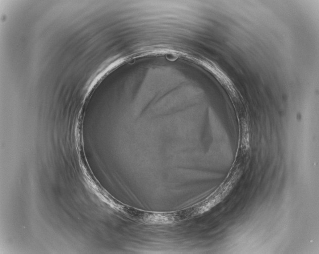 X0000087560806200705112146