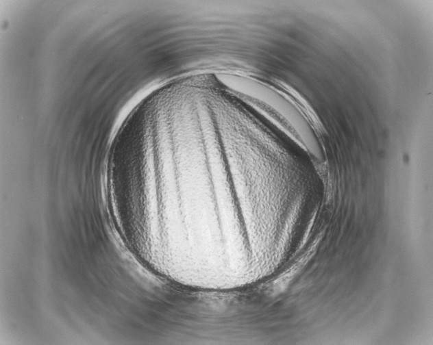 X0000087560812200705112146