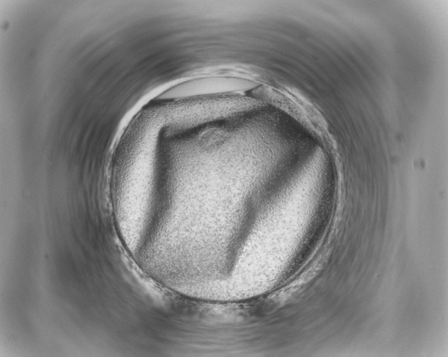 X0000087560816200705112146