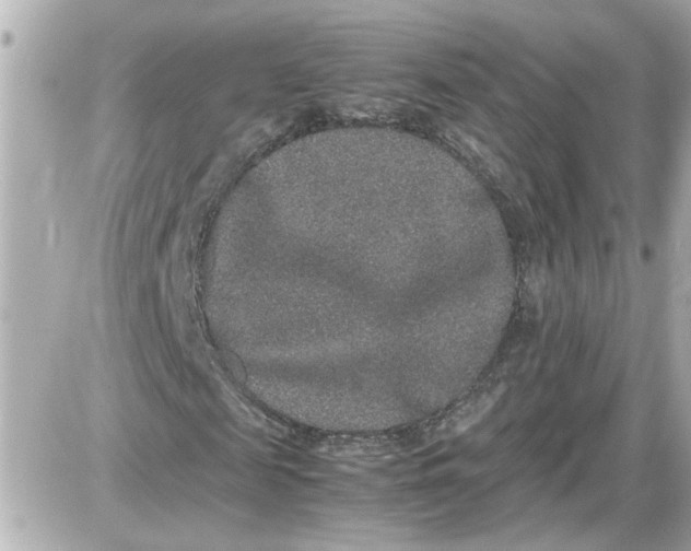 X0000087560817200705112145