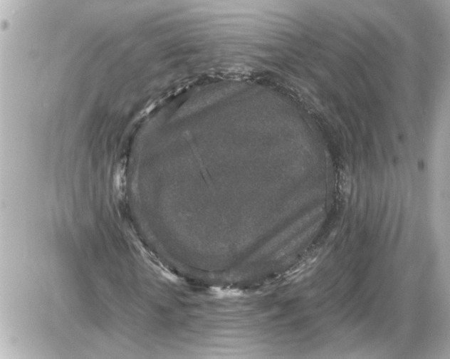 X0000087560818200705112145