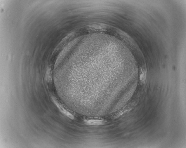 X0000087560819200705112145