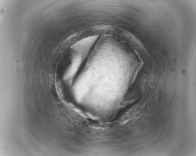 X0000087560821200705112145