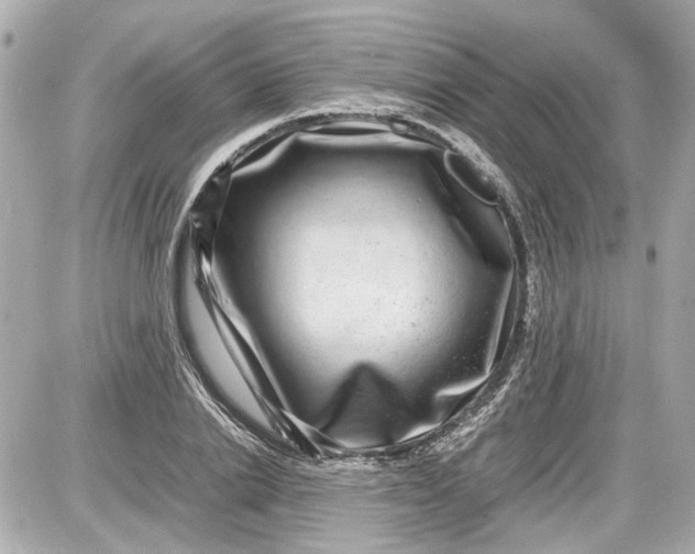 X0000087560838200705112145