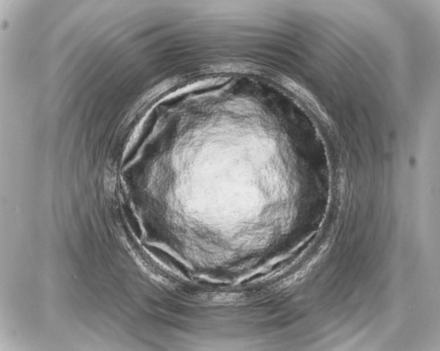 X0000087560841200705112145