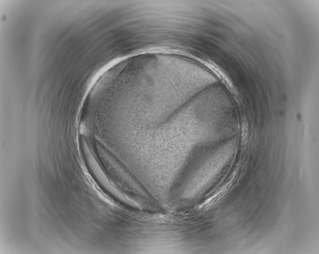 X0000087560854200705112145