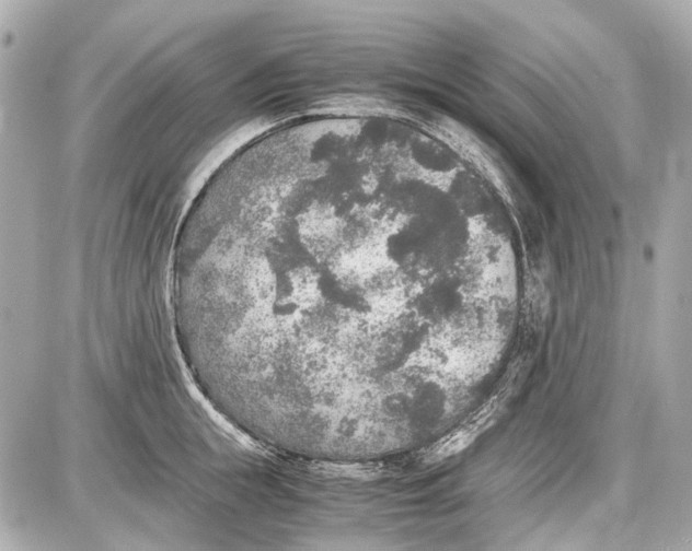 X0000087560855200705112145