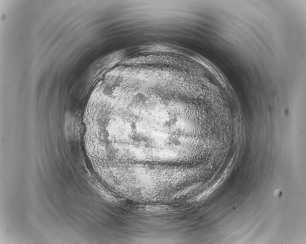 X0000087560857200705112145