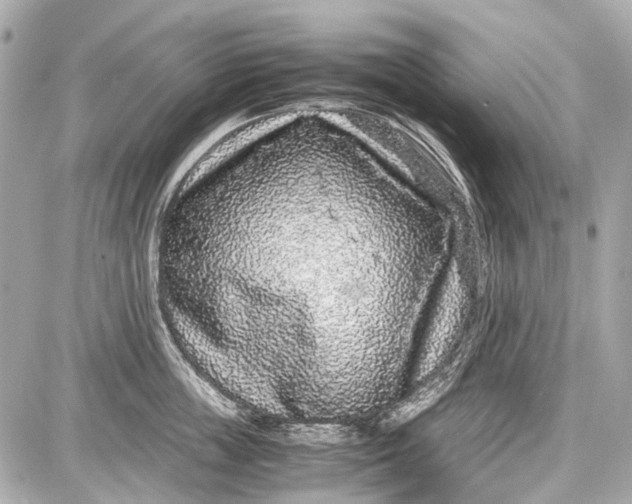 X0000087560859200705112145
