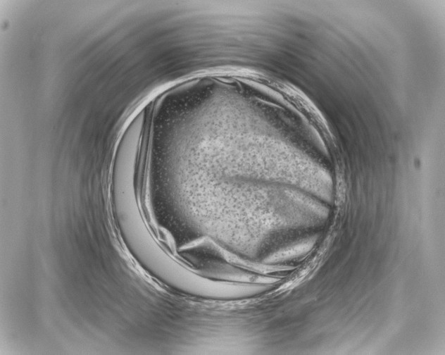 X0000087560860200705112145