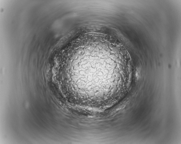 X0000087560867200705112145
