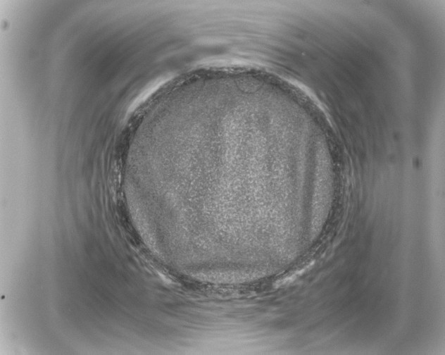 X0000087560871200705112145