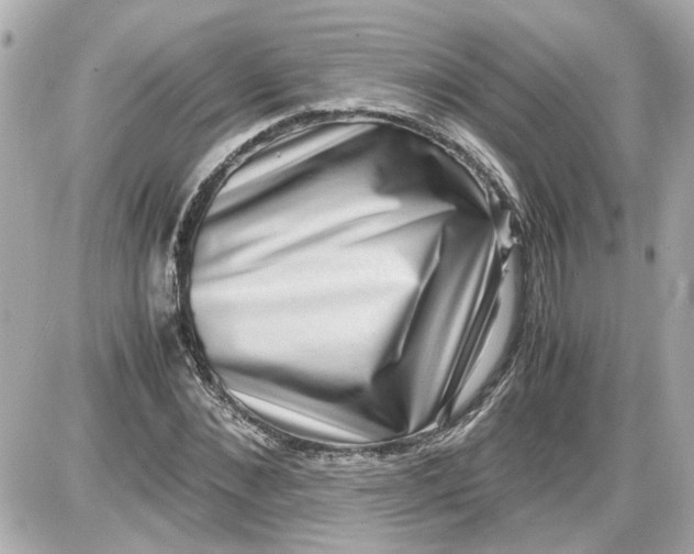 X0000087560876200705112145