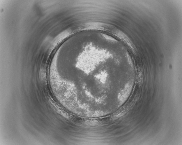 X0000087560882200705112144
