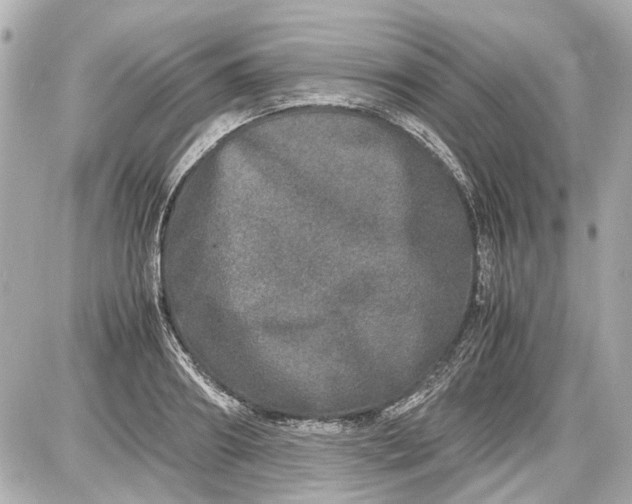 X0000087560890200705112144