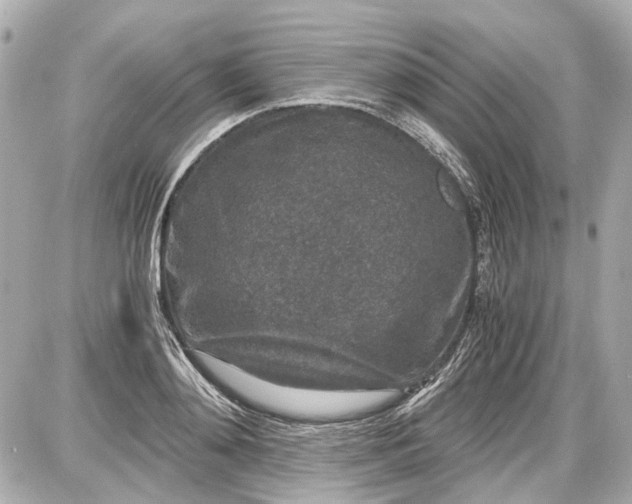 X0000087560892200705112144