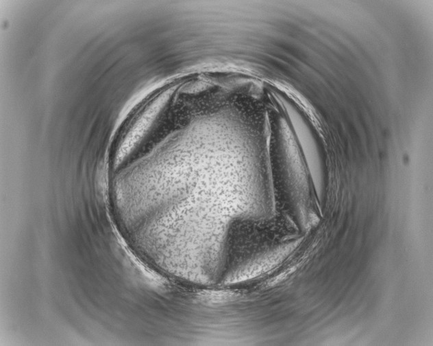 X0000087560894200705112144